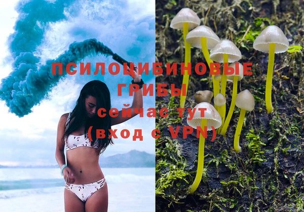 тгк Барнаул