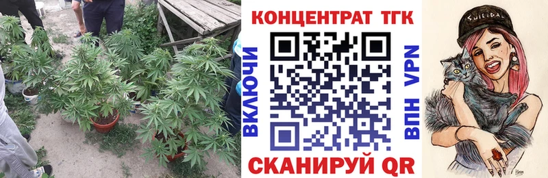 купить Куровское Дистиллят ТГК гашишное масло