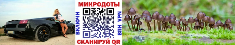 Псилоцибиновые грибы Magic Shrooms  Куровское 
